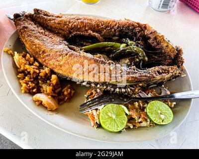 Fried fish. fried smooth fish. Mullet, Flat-headed mullet. Mullet. mullet fish, serrano peppers, lemons,. sea food. Seafood , Food, food, Meals, food. Stock Photo