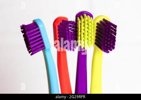 Set of plastic multicolored toothbrushes - green, blue, red, purple - in the transparent glass on a white background. Cup with four bright colorful so Stock Photo