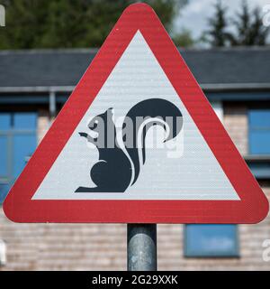 Squirrel crossing sign in the scottish Highlands Stock Photo