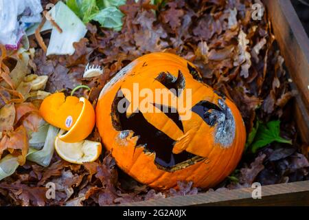 Traditional carved pumpkin face lanterns rotting and decomposing on a compost heap after Halloween, Surrey, south-east England Stock Photo