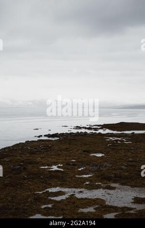 Perspective view of tranquil lake with marsh wet shore in rocks under cloudy sky, Iceland Stock Photo