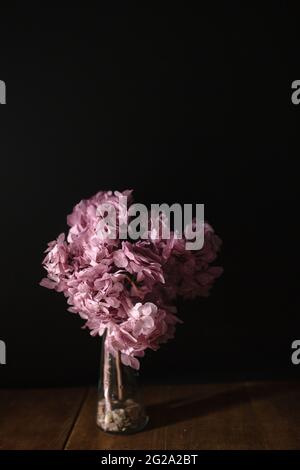 Hydrangea in vase on dark background in studio Stock Photo - Alamy