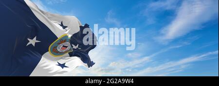 flag of Vice Commandant of the United States Coast Guard, USCG waving in the wind. USA National defence. Copy space. 3d illustration. Stock Photo