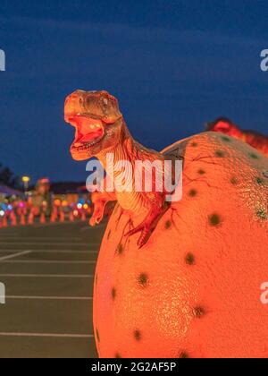 Syracuse, New York - May 23, 2021: Night Close-up View of a Tyrannosaurs Hatching out of a Gigantic Egg. Stock Photo