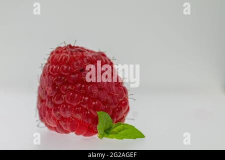 close-up macro red raspberry with small green leaf on a white background Stock Photo