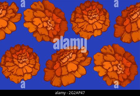 Seamless pattern with colorful botanical sketch of marigold flowers on blue background. Vector textile with floral natural drawing. Fabric with pencil Stock Vector