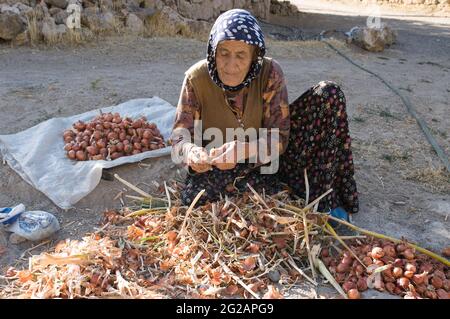 Yaprakhisar, Turkey - July 31, 2010: an elderly Muslim woman cleans the onions sitting down in a dirt street of Yaprakhisar near the Ihlara valley in Stock Photo