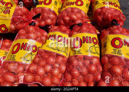 Ten pound bags of onions (Allium cepa) for food service Stock Photo