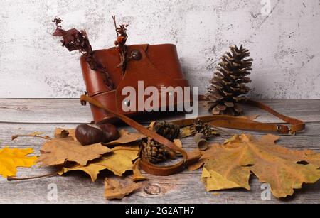 vintage postcard with a retro camera in a leather case Stock Photo
