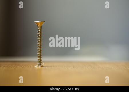 Close up shot of a wood screw drilled into wood. Stock Photo