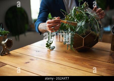 Male hand cleaning plant leaves with brush Stock Photo