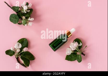 Organic Spa Cosmetic With Herbal Ingredients. Serum with herbal extracts for skincare. Nature cosmetics in glass bottle with a pipette and apple flowe Stock Photo