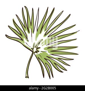 Hand Drawn Tropical leaf for logo, emblem template, web, prints Stock Vector