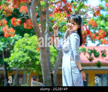 Schoolgirls in traditional long dress or Ao Dai uniform posing with flowers phoenix school yard mark time students remain timeless in Long An, Vietnam Stock Photo