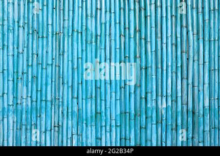 Blue bamboo wood abstract background Stock Photo