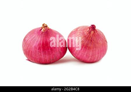 Red onions on white background Stock Photo