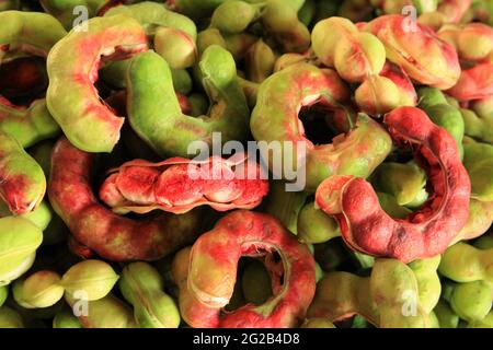 Manila tamarind. stock photo Stock Photo