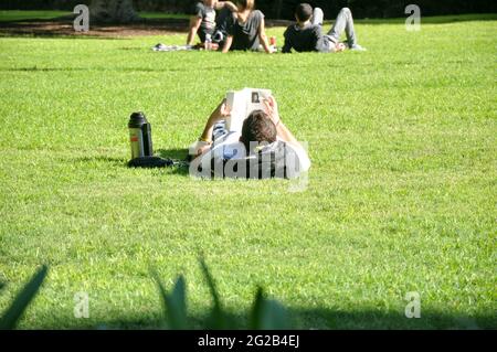 Young man lying in the park reading book Stock Photo