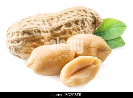 Peeled peanuts and peanut pod isolated on white background. Close-up. Stock Photo