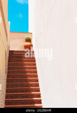 Tile staircase between two walls, with a cactus plant in pots placed on the right side. Stock Photo