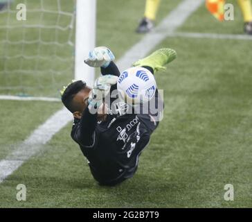 Diogo Silva do CRB celebrates saving penalty and thus winning penalty  competition for CRB during the Copa do Brasil football match between  Palmeiras v CRB at the Allianz Parque stadium in Sao