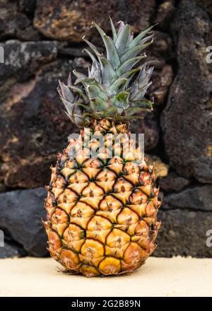 Small fresh ripe orange pineapple, tasty and healthy tropical fruit. Stock Photo