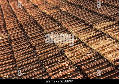 Old orange tiles covered with green moss. Rusted red brick roof. Abstract geometric pattern background or rustic texture. Stock Photo