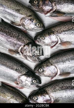 Group of fresh raw rainbow trout fish for sale in the market. Fishing industry concept. Stock Photo