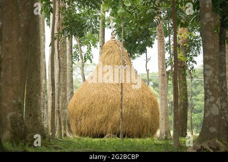 A small straw turn Stock Photo