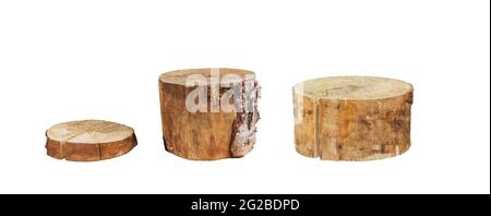 three round carved wooden platforms isolated on white, geometric podium, pedestal, mock-up, eco-stage for cosmetics presentation, mock-up Stock Photo