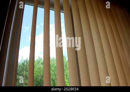 Closed vertical blinds against the background of the window Stock Photo