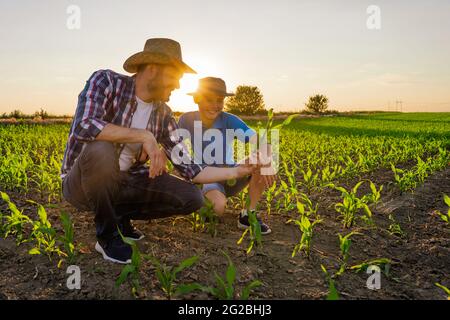 Family farmers are standing in their growing corn field. They are examining crops after successful sowing. Stock Photo