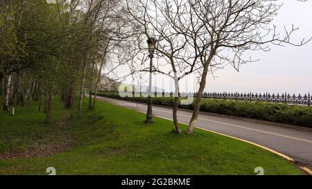Empty asphalt road with one yellow line on the road surface for separate lanes in the summer park Stock Photo