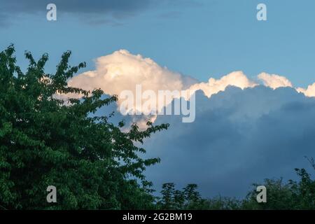 Grey clouds in front of white clouds in the evening sky over a tree Stock Photo