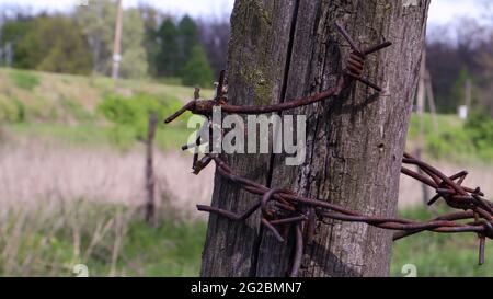 Old wooden fence with rusty barbed wire. A fence next to a rural road. Vintage look. A wooden post around the perimeter of the pasture fence Stock Photo