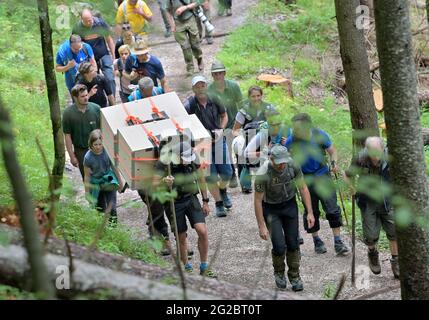 10 June 2021, Bavaria, Ramsau Bei Berchtesgaden: Two bearded vultures are carried up the Knittelhorn in two wooden crates on stretcher boxes. More than 140 years after the extinction of the bearded vulture in Germany, two young specimens from Spanish breeding are to be released into the wild for the first time as part of a project by the Bavarian nature conservation association LBV in Berchtesgaden National Park. Photo: Peter Kneffel/dpa Stock Photo