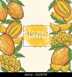 Background with mango, vector illustration. Whole mango, slices and leaves, hand drawing. Frame with exotic tropical yellow fruits. Stock Vector