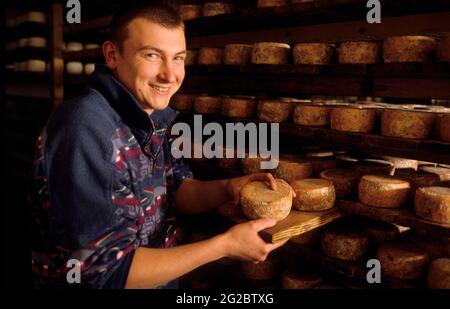 FRANCE. SAVOIE (73) VANOISE NATIONAL PARK (HAUTE MAURIENNE). VILLAGE OF BONNEVAL-SUR-ARC. TOMME IN CHEESE-CELLAR OF THE CHEESEMONGERY Stock Photo