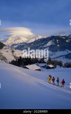 FRANCE. HAUTE-SAVOIE (74) PAYS DU MONT-BLANC AND VAL D'ARLY. SNOW SHOES OUTING WITH A MOUNTAIN GUIDE IN THE AREA OF MEGEVE AND PRAZ-SUR-ARLY (IN THE B Stock Photo