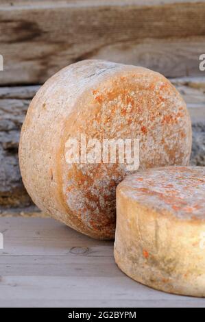 FRANCE, SAVOIE (73) HAUTE MAURIENNE, VANOISE NATIONAL PARK, BLEU DE TERMIGNON CHEESE Stock Photo
