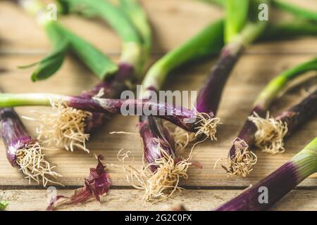 Spring onions on a wooden background Stock Photo