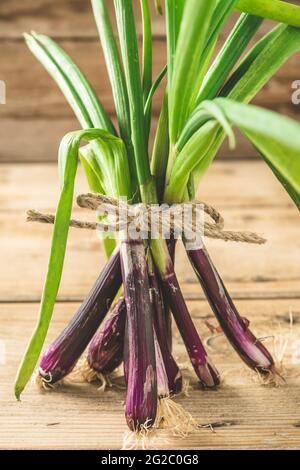 Spring onions bundled with a ribbon on a wooden background, vertical Stock Photo