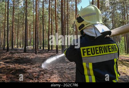 09 June 2021, Brandenburg, Wünsdorf: A comrade of the volunteer fire brigade extinguishes the last pockets of embers in a small fire in a pine forest near Wünsdorf. With the rising temperatures, the danger of forest fires has increased in Brandenburg. Photo: Patrick Pleul/dpa-Zentralbild/ZB Stock Photo