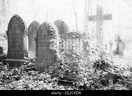 An infrared shot of old, ivy-covered Victorian gravestones. Stock Photo