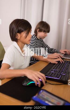 Boys using computers at home Stock Photo