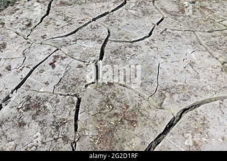 dry cracked soil on field for burn of sun Stock Photo