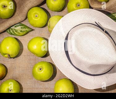 Horizontal composition with green apples with a summer hat on a natural, textile background. Healthy, season, foods. Concept of local,farm market Stock Photo