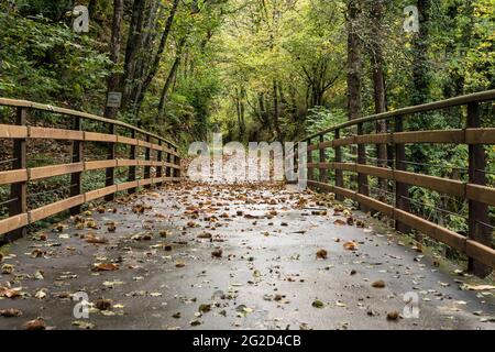 Wooden bridge in the Bear trekking way in autumn. Teverga, Asturias, Spain. Stock Photo