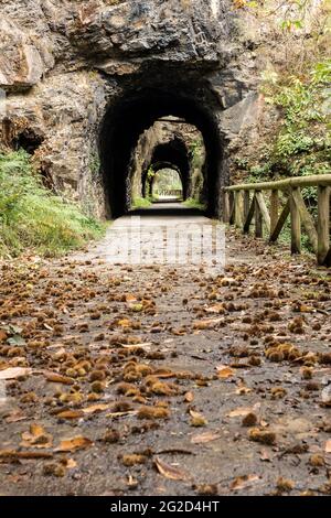 Tunnel in the Bear trekking way in autumn. Teverga, Asturias, Spain. Stock Photo