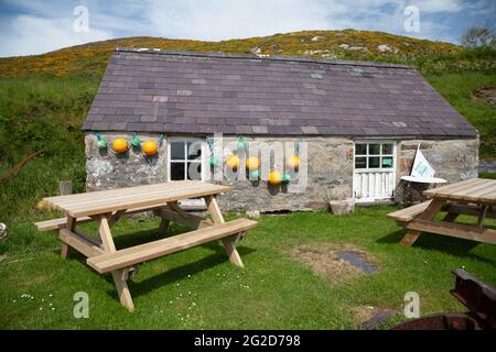 Caffi Ynys Enlli / Bardsey Island Cafe at Fferm Ty Pellaf Farm - built of stone with slate roof with picnic benches outside and fishing net floats Stock Photo